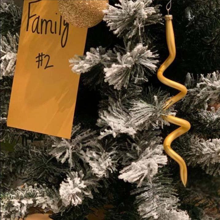 Hope for the Holidays: Sponsor A Family