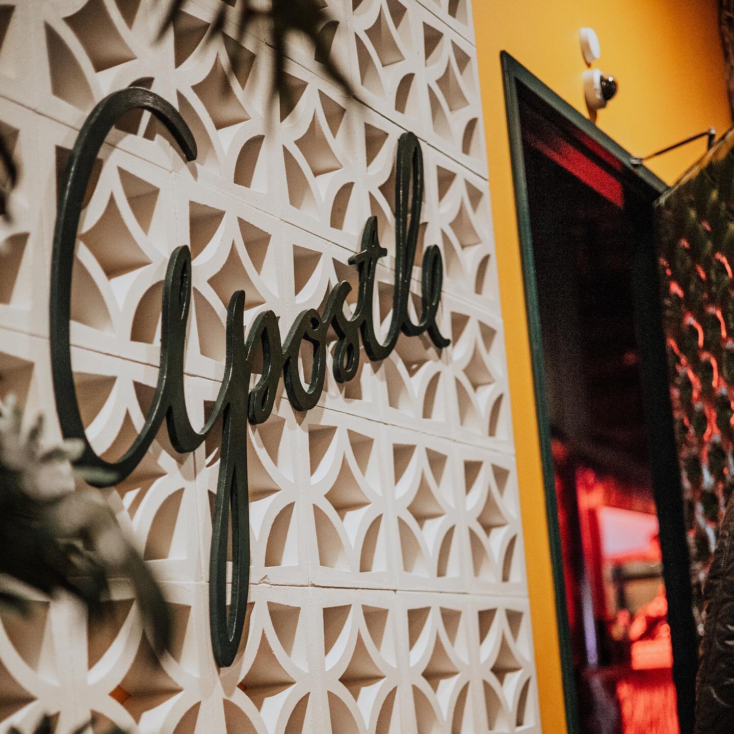 Let dinner slip you away to the 1960&rsquo;s for the evening&hellip; 🏝️ 🦩